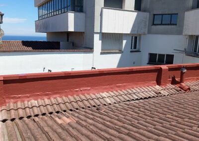 Rehabilitación de pesebrón y limpieza de tejado 